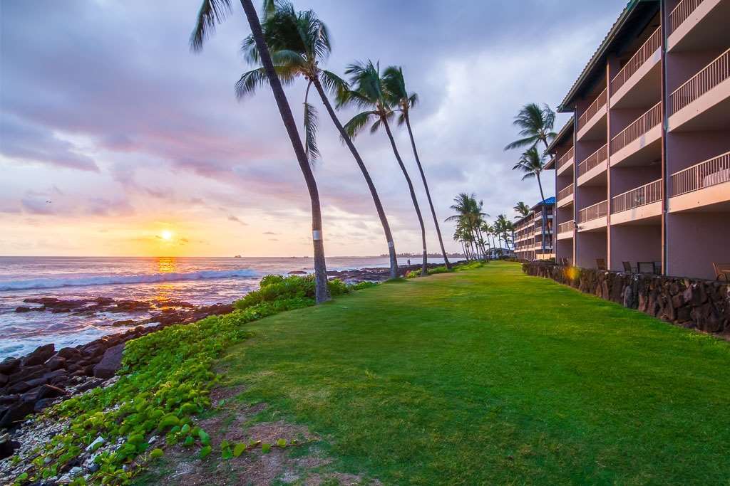 Hotel Kona Reef Kailua-Kona Natura zdjęcie