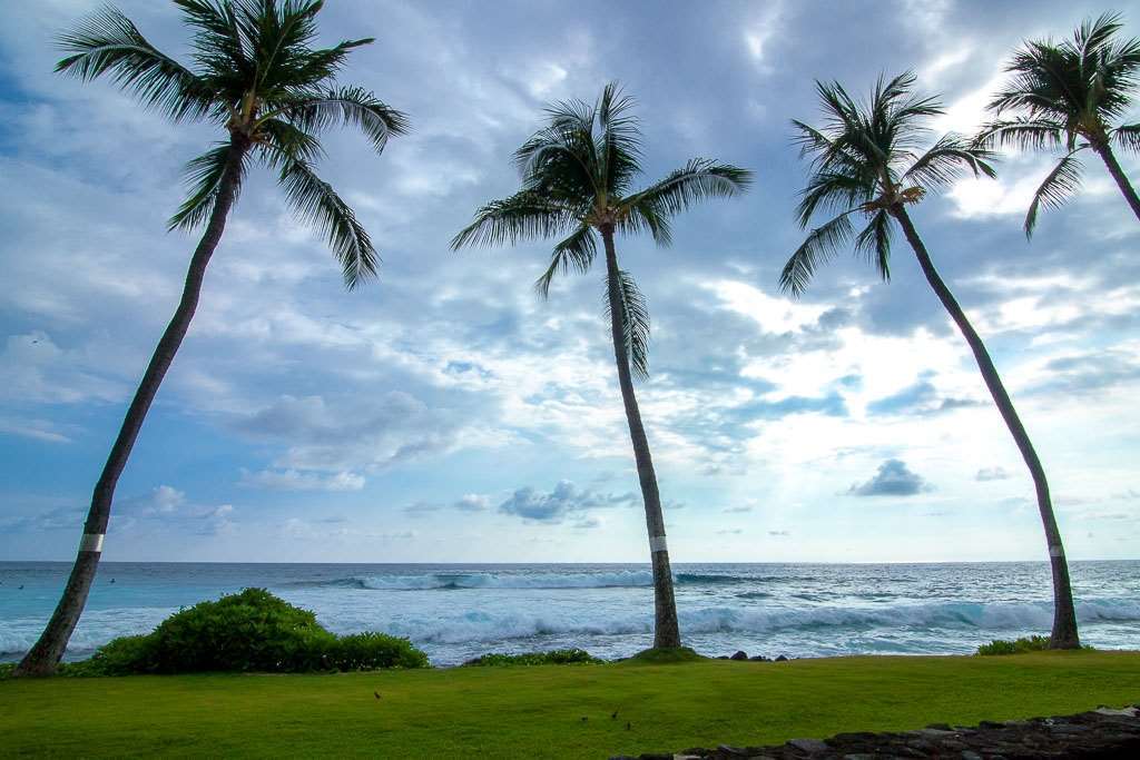 Hotel Kona Reef Kailua-Kona Pokój zdjęcie